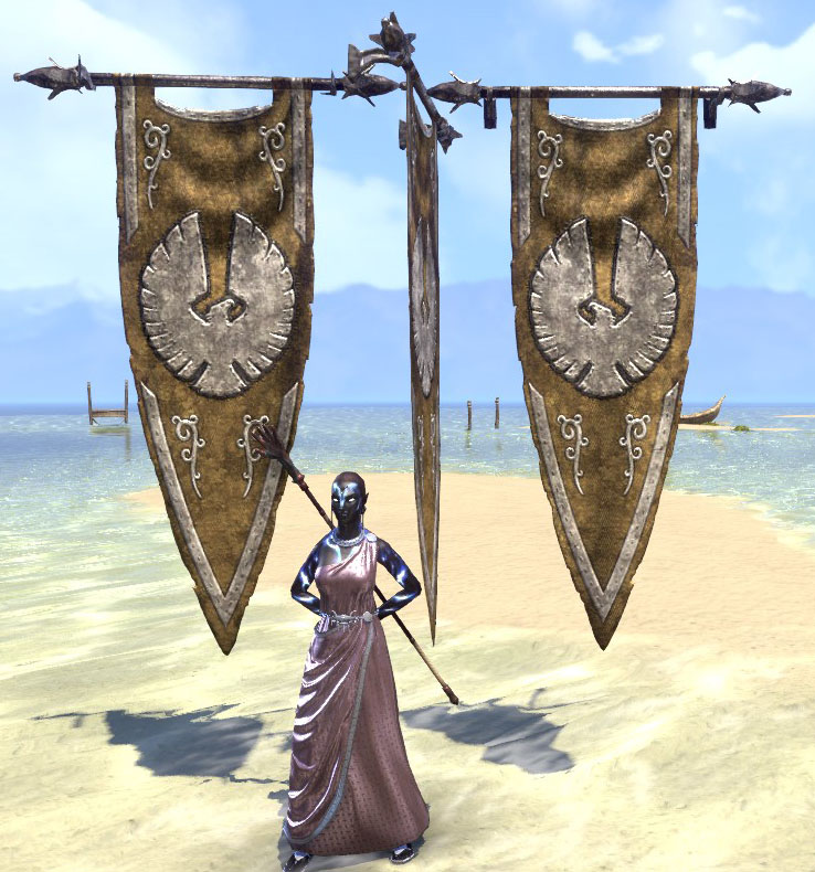 ESO Fashion Dominion Wall Banner, Medium (Elder Scrolls Online)