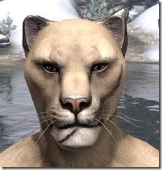 Left Cheek-Chin Diagonal Scar - Male Front Left Cheek-Chin Diagonal Scar - Male Front