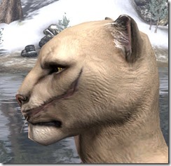Left Cheek-Chin Diagonal Scar - Male Side Left Cheek-Chin Diagonal Scar - Male Side