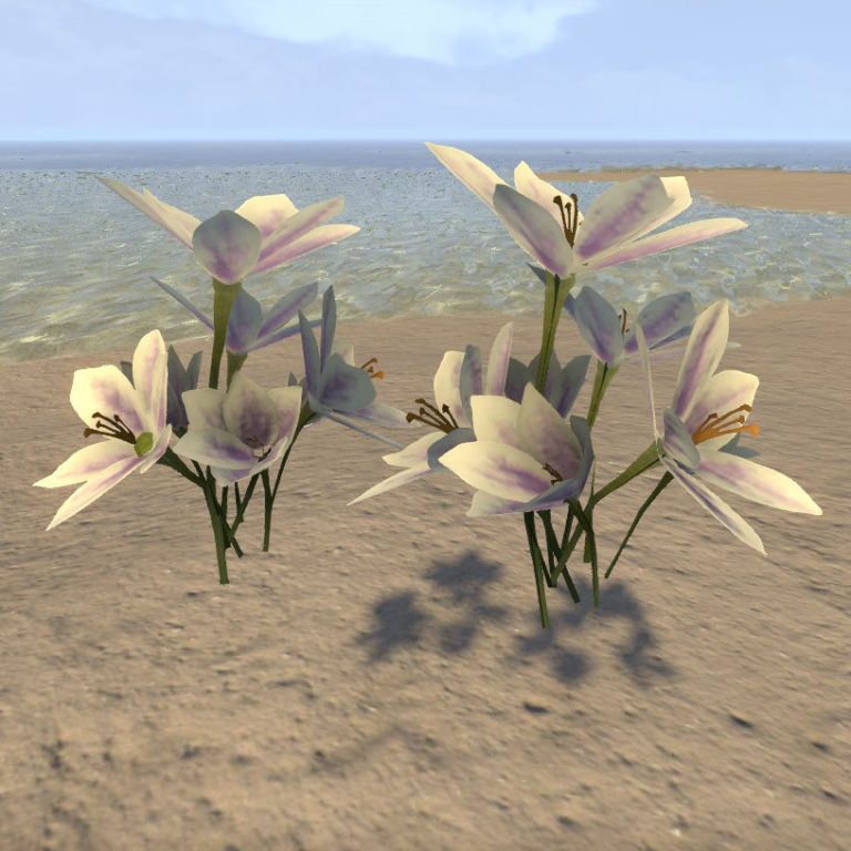 ESO Fashion Pale Garden Flowers (Elder Scrolls Online)