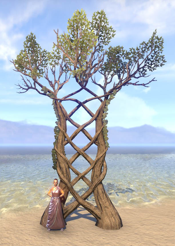 ESO Fashion Wood Elf Union Trellis (Elder Scrolls Online)