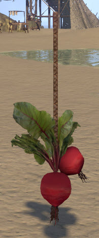 ESO Fashion | Beet String, Display (Elder Scrolls Online)