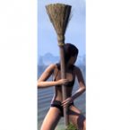 Broom