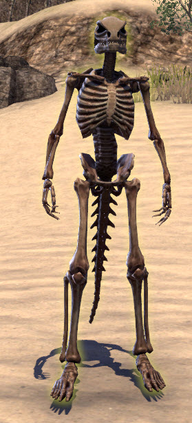 Target-Skeleton-Argonian.jpg