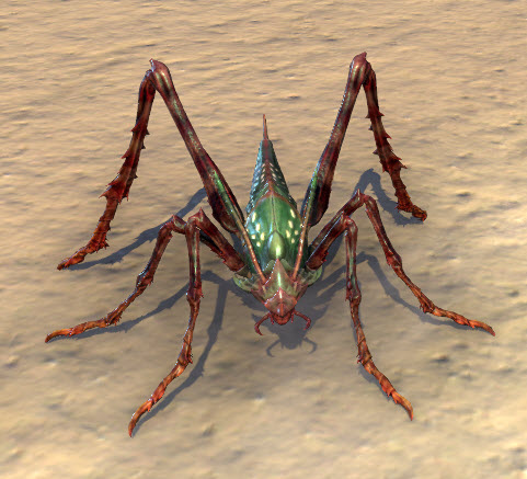 ESO Fashion | Deep-Moss Ash Hopper (Elder Scrolls Online)