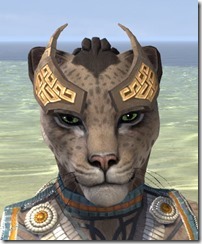 Dwarf-Style Brow Shields - Khajiit Front Dwarf-Style Brow Shields - Khajiit Front