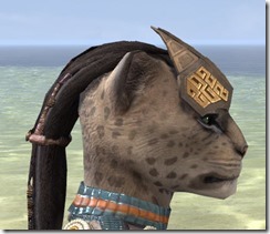Dwarf-Style Brow Shields - Khajiit Side Dwarf-Style Brow Shields - Khajiit Side