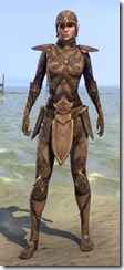 Phaer Mercenary - Female Front