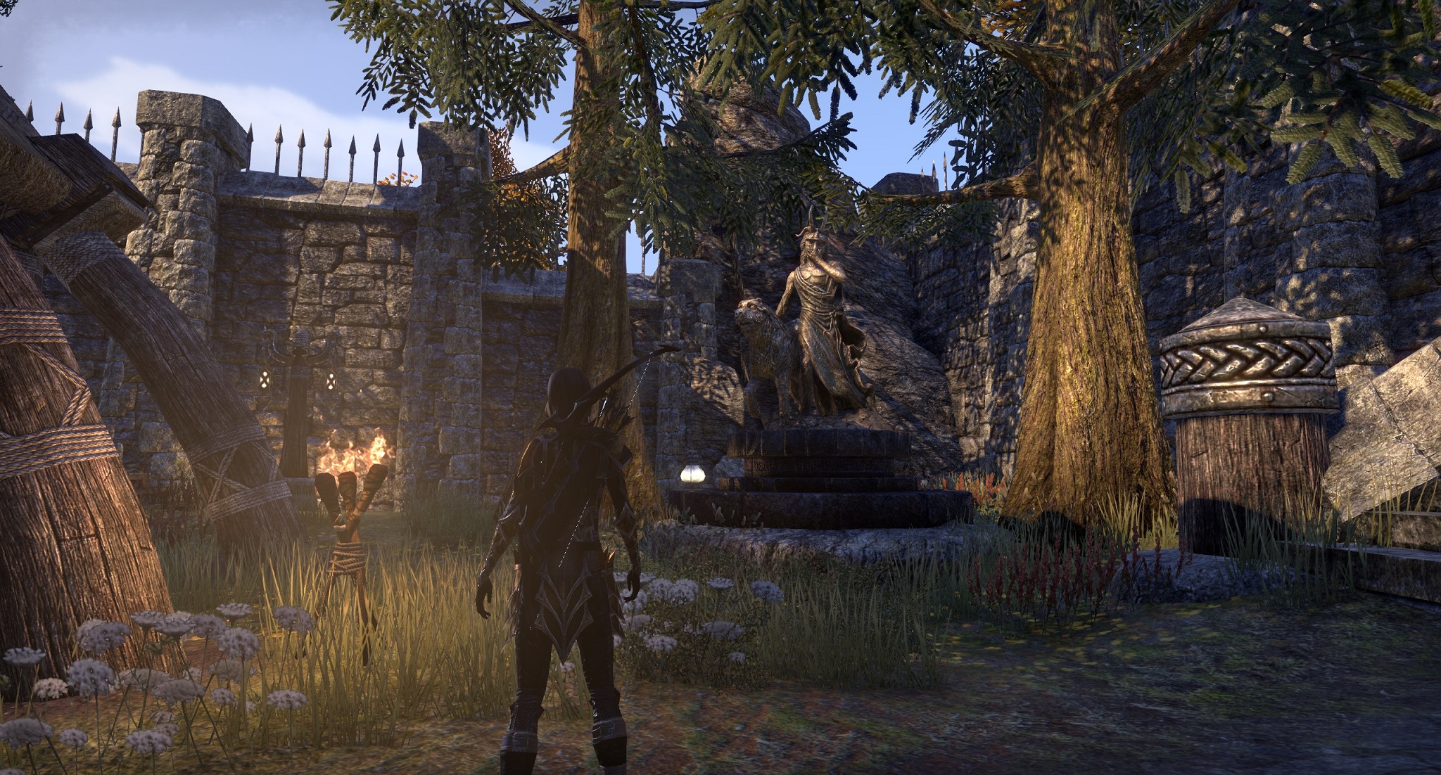 Housing Question Re Pine Trees