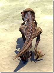 Skeletal Pony Guar Back Skeletal Pony Guar Back