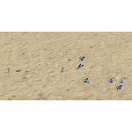 Blue Butterfly Flock