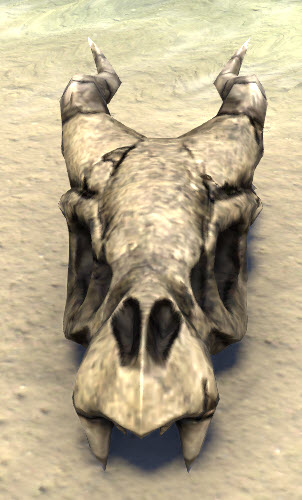 Dragon-Cranium-Ancient.jpg