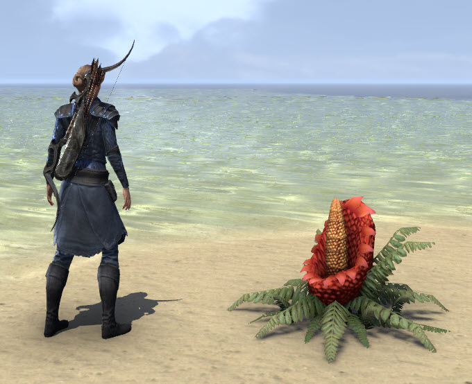 ESO Fashion Flower, Lover's Lily (Elder Scrolls Online)