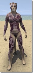 Decayed Zombie - Khajiit Front