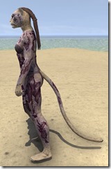 Decayed Zombie - Khajiit Side