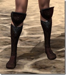 Skinchanger (Old) Medium Boots - Female Front