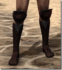Skinchanger (Old) Medium Boots - Male Front