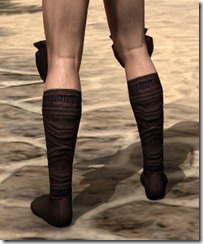Skinchanger (Old) Medium Boots - Male Rear