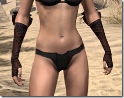 Skinchanger (Old) Medium Bracers - Female Front