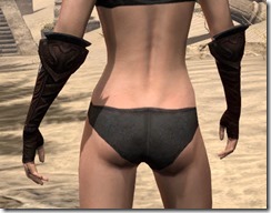 Skinchanger (Old) Medium Bracers - Female Rear