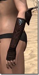 Skinchanger (Old) Medium Bracers - Female Side