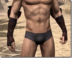 Skinchanger (Old) Medium Bracers - Male Front