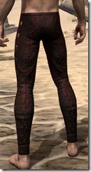 Skinchanger (Old) Medium Guards - Male Rear