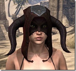 Skinchanger (Old) Medium Helmet - Female Front