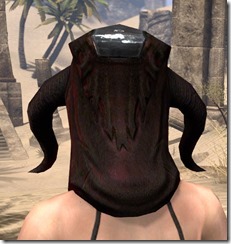 Skinchanger (Old) Medium Helmet - Female Rear