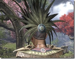 Xanmeer Doyen's Feather Tiara - Dyed Rear