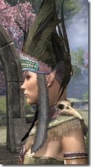 Xanmeer Doyen's Feather Tiara - Dyed Side