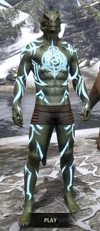 Body-Imprint-of-the-Psijic-Order-Argonian-Front.jpg