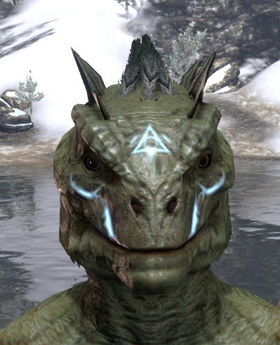 Face-Imprint-of-the-Psijic-Order-Argonian-Front.jpg