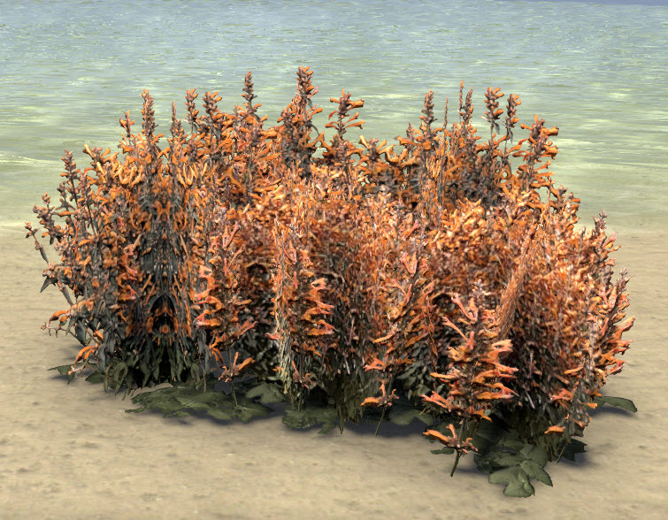 ESO Fashion Flowers, Hummingbird Mint Cluster (Elder Scrolls Online)