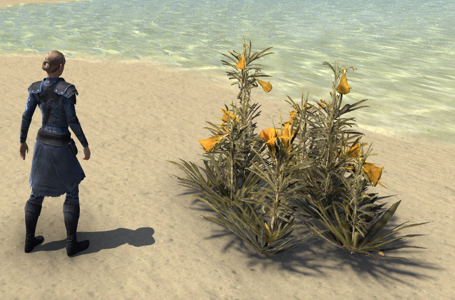 ESO Fashion Flowers, Yellow Oleander Cluster (Elder Scrolls Online)