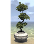Alinor Potted Plant, Triple Tiered