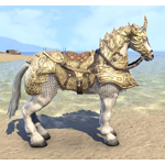 Auroran Warhorse