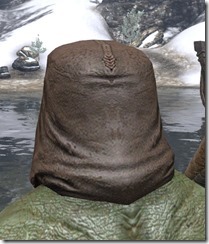 Darloc Brae Beast Mask Argonian Rear