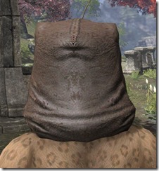 Darloc Brae Beast Mask Khajiit Rear