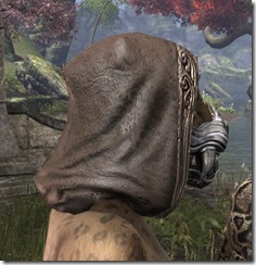Darloc Brae Beast Mask Khajiit Side