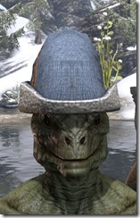 New Life Festival Cap - Argonian Front