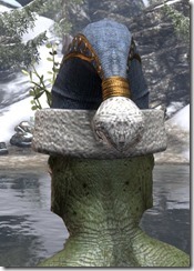 New Life Festival Cap - Argonian Rear