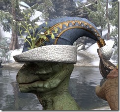 New Life Festival Cap - Argonian Side