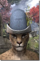 New Life Festival Cap - Khajiit Front