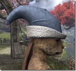 New Life Monk's Cap - Khajiit Side