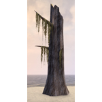 Stump, Mossy Cypress