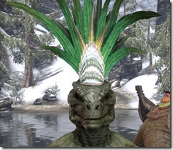 Xanmeer Doyen's Feather Tiara - Argonian Front
