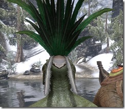 Xanmeer Doyen's Feather Tiara - Argonian Rear