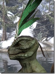 Xanmeer Doyen's Feather Tiara - Argonian Side