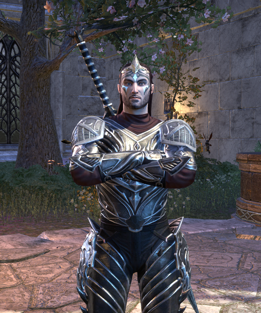 Eso Fashion Mikael Lokviing Na Elder Scrolls Online.